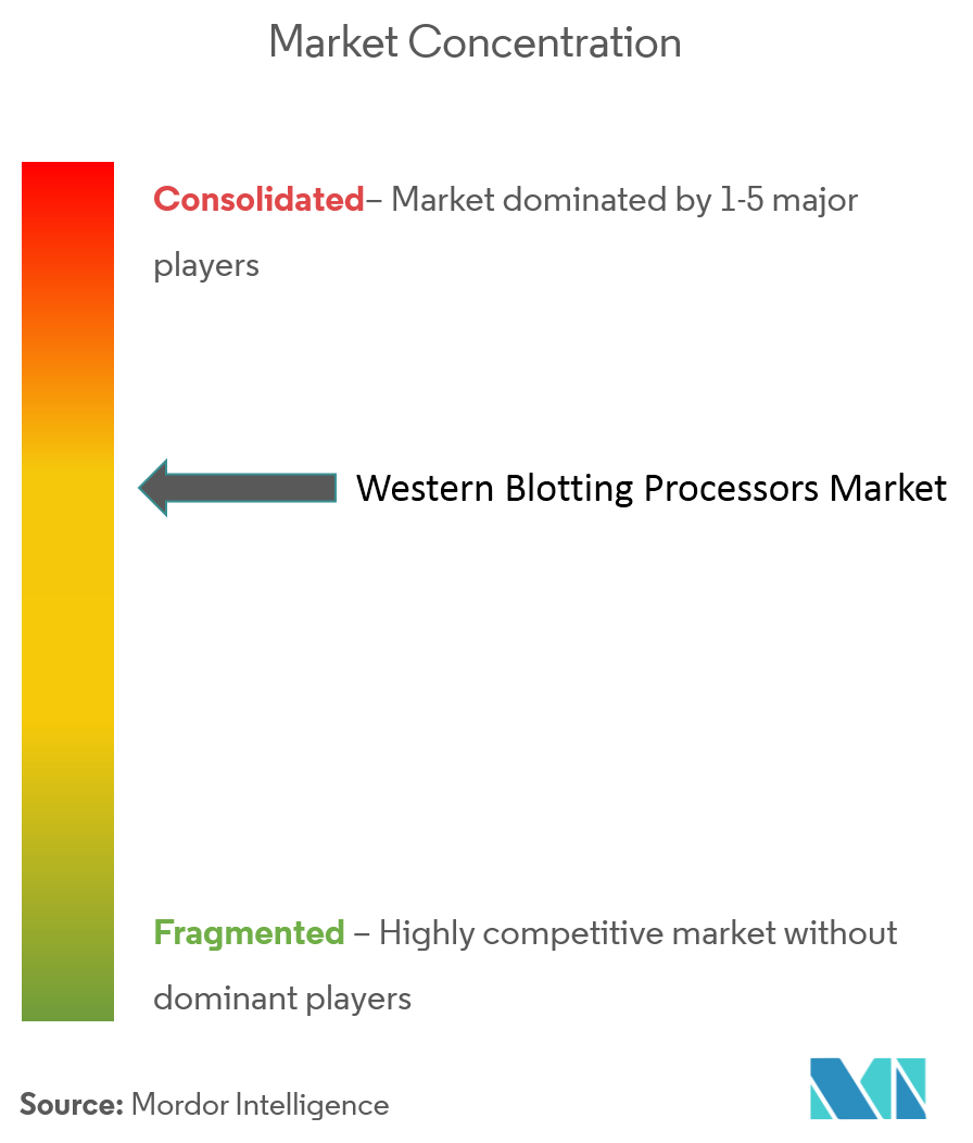 Western Blotting Processors